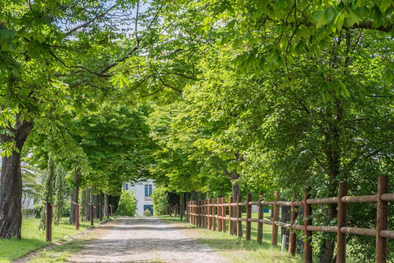 Отель Collina Dei Poeti Сантарканджело-ди-Романья Экстерьер фото